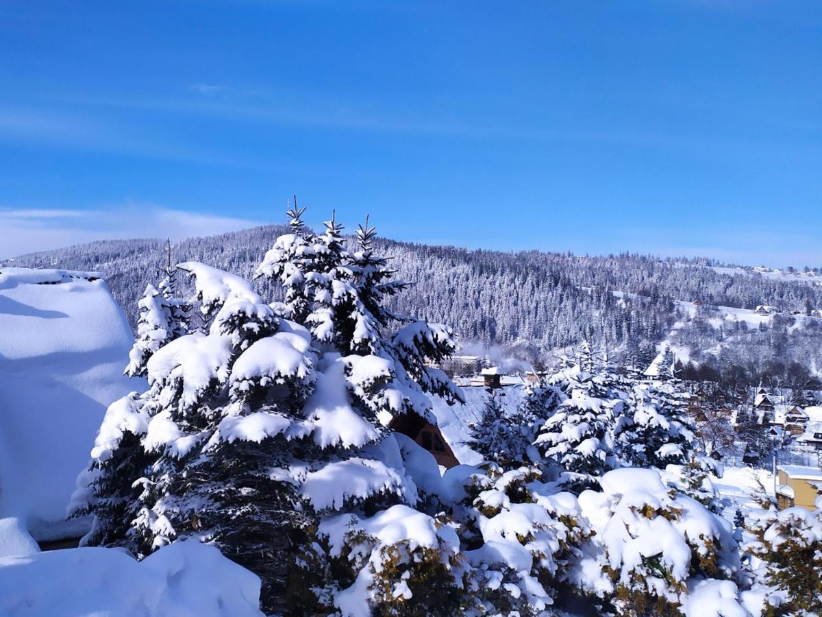 Apartament Nr 4 U Miska Z Dwoma Sypialniami Zakopane Exteriér fotografie
